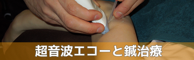 超音波エコーと鍼治療