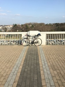 多摩湖自転車