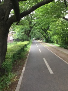 散歩道