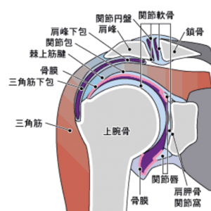 図1