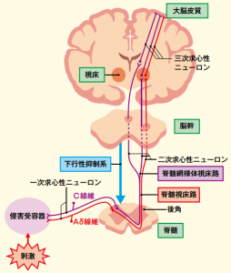 図1