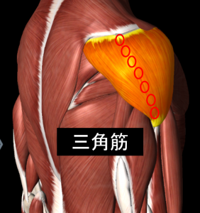 図3